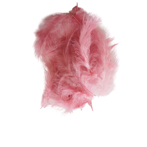 Düş Kapanı Kuş Tüyü - Pembe